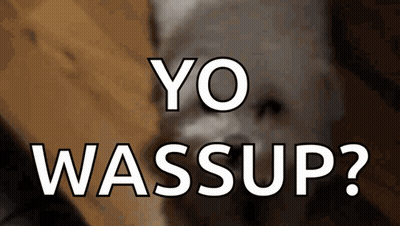Dog Saying Yo Wassup GIF