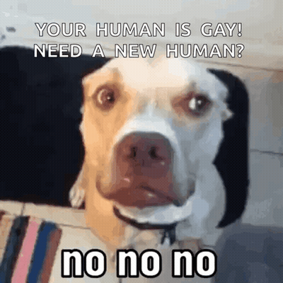 Dog Saying Your Human Is Gay Need A New Human GIF