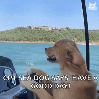 Dog Says Ept Sea Dog Have Good Day GIF