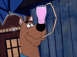 Dog Scooby Drinking GIF