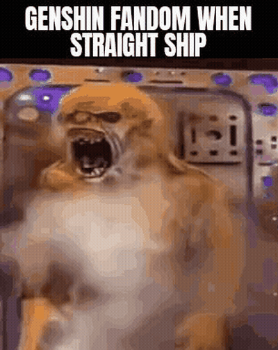 Dog Screaming Genshin Fandom When Straight Ship
