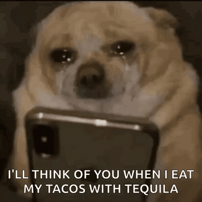 Dog Scroll GIF