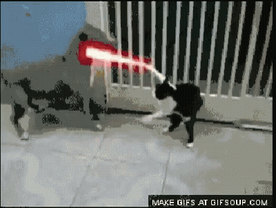 Dog Shooting Laser At Cat GIF