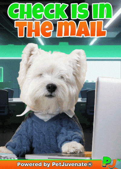 Dog Sitting At Desk Saying Check Is In The Mail GIF