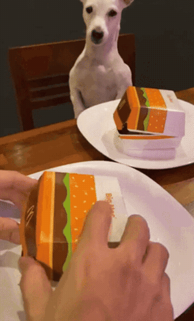 Dog Sitting At Table Looking At McDonald's Hamburger GIF