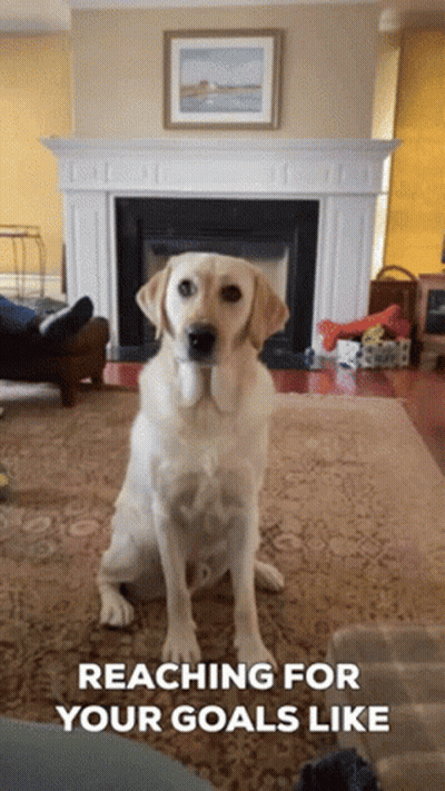Dog Sitting By Fireplace Reaching Goals GIF