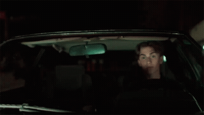 Dog Sitting In Back Seat Of Car GIF