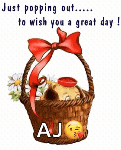 Dog Sitting In Basket With Flowers And Bow GIF