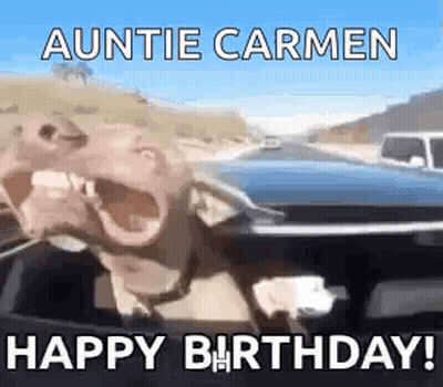 Dog Sitting In Car Making Funny Face GIF