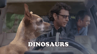 Dog Sitting In Driver's Seat Inherit The Earth GIF