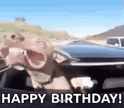 Dog Sitting In Driver's Seat Making Funny Face GIF