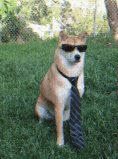 Dog Sitting In Grass With Tie And Sunglasses GIF