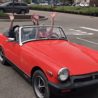 Dog Sitting In Tesla GIF