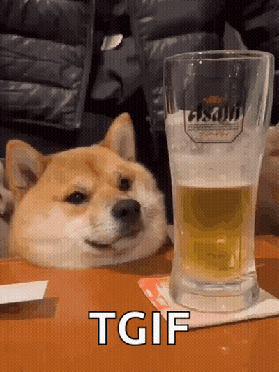 Dog Sitting Next To Asahi Beer GIF