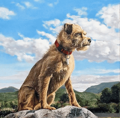 Dog Sitting On A Rock GIF