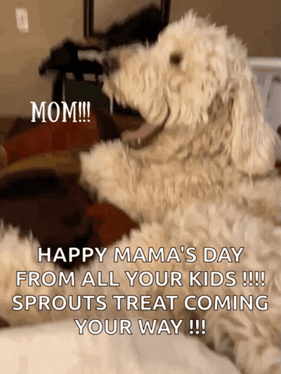 Dog Sitting On Bed Happy Mama's Day GIF