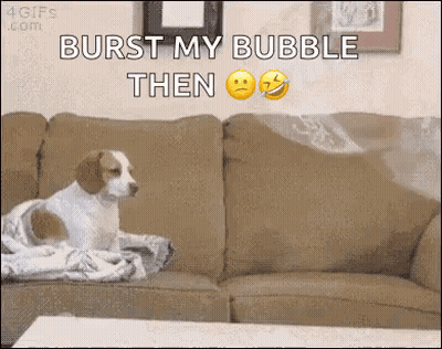 Dog Sitting On Couch Saying Burst My Bubble GIF