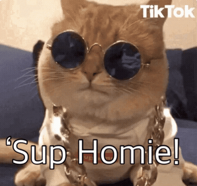 Dog Sitting On Porch With Welcome Mat GIF