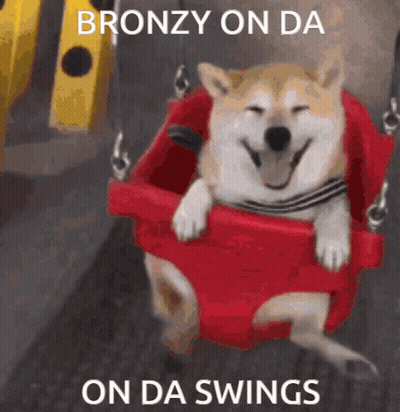 Dog Sitting On Red Swing Bronzy On Da Swings GIF