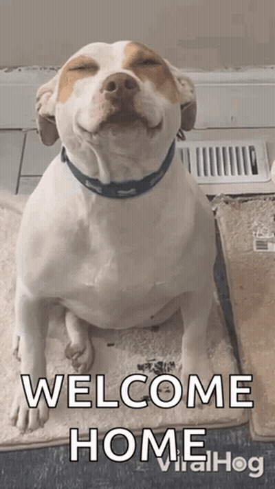 Dog Sitting On Rug With Welcome Home GIF