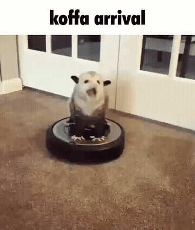 Dog Sitting on Vacuum Cleaner