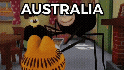 Dog Sitting On Wooden Floor With Mop And Number 3 GIF