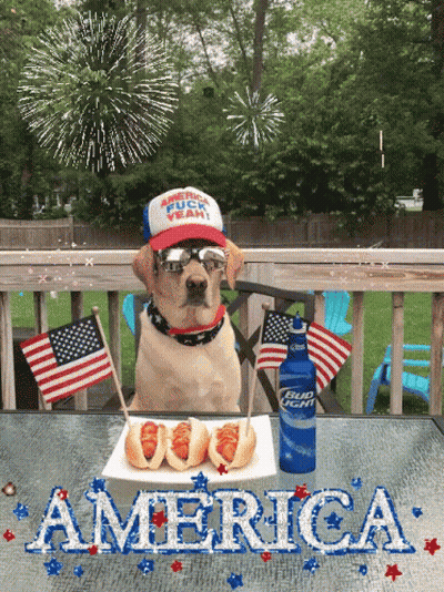 Dog Sitting with Hot Dogs and Bud Light