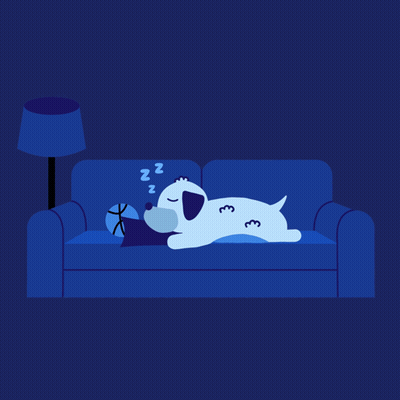 Dog Sleeping On Blue Couch Saying Good Night GIF