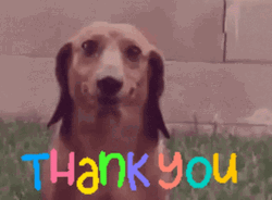 Dog Smiling Animated Thank You GIF