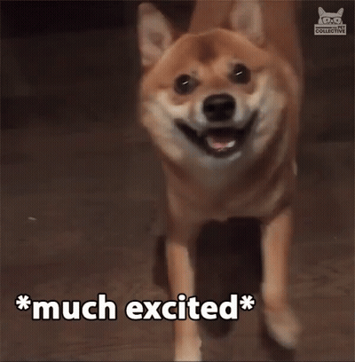 Dog Smiling With Very Wow Above GIF