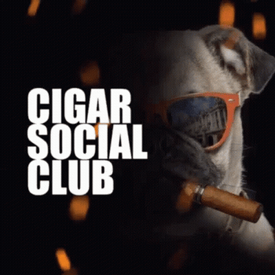 Dog Smoking Cigar In Sunglasses Cigar Social Club GIF