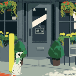 Dog Snatched At Cafe GIF