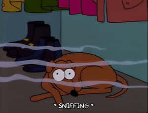 Dog Sniffing Smelly GIF