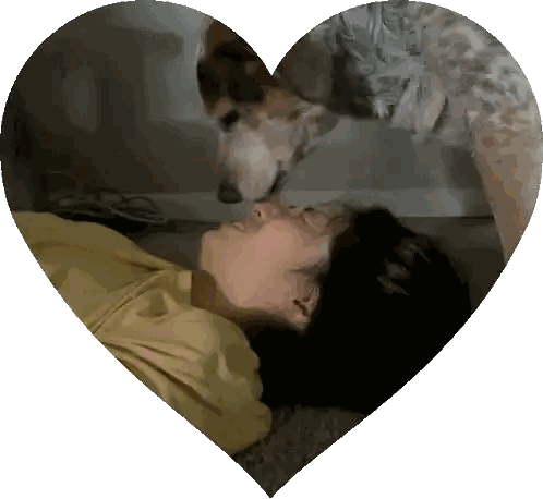 Dog Sniffing Woman's Face In Heart Shape Sticker
