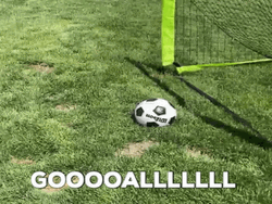 Dog Soccer Ball Goal GIF
