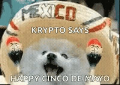 Dog Sombrero Krypto Says Happy Cinco De Mayo GIF