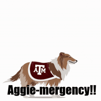 Dog Speech Bubble Gig Em Aggie Emergency GIF