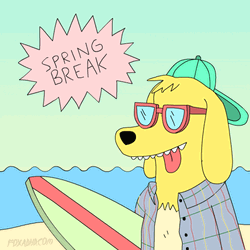 Dog Spring Break GIF
