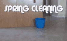 Dog Spring Cleaning With Mops GIF