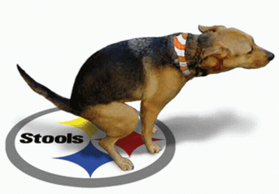 Dog Squatting In Front Of Stool Logo GIF