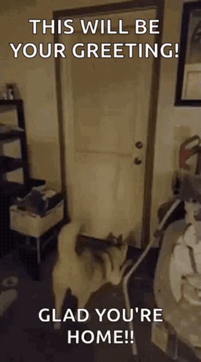 Dog Standing By Door Saying Welcome GIF