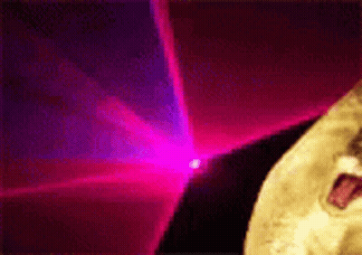 Dog Standing In Front Of Pink And Purple Lights GIF