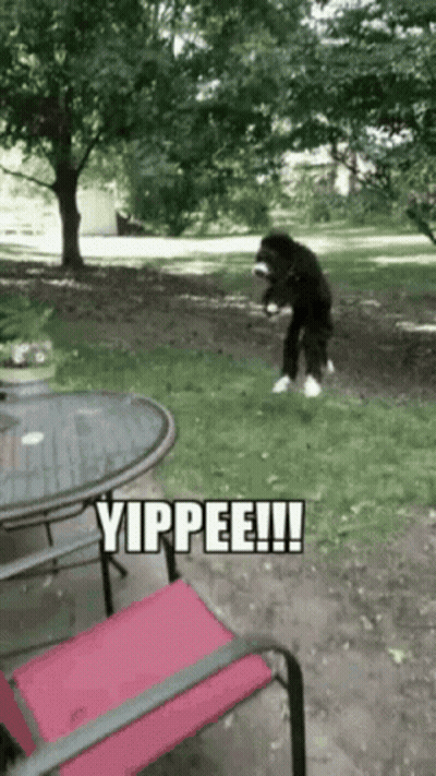 Dog Standing In Grass Saying Yippee GIF