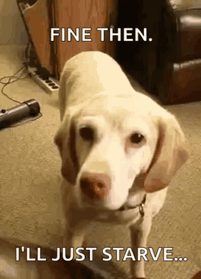 Dog Standing In Living Room Saying Fine Then I'll Just Starve GIF