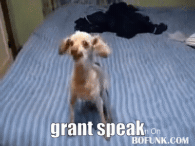 Dog Standing on Bed Saying Grant Speak on Bofunk