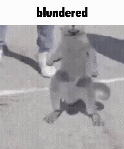 Dog Standing On Hind Legs Beside Person GIF