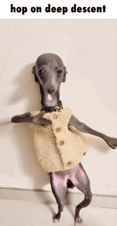 Dog Standing on Hind Legs Hop on Deep Descent