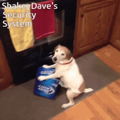 Dog Standing On Hind Legs Next To Bud Light Beer GIF