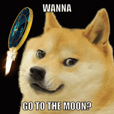 Dog Standing On Trampoline With Dogecoin Dream GIF