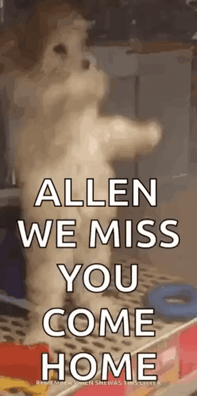 Dog Standing With Allen We Miss You GIF